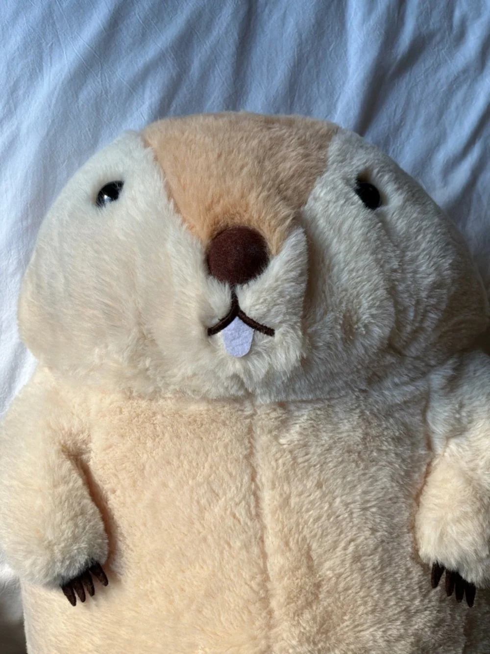 Plush Small Pets Guinea Pig Stuffed Animal - Cream